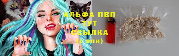 твердый Богородск
