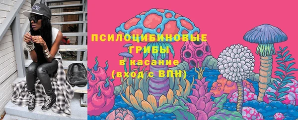 герыч Ладушкин