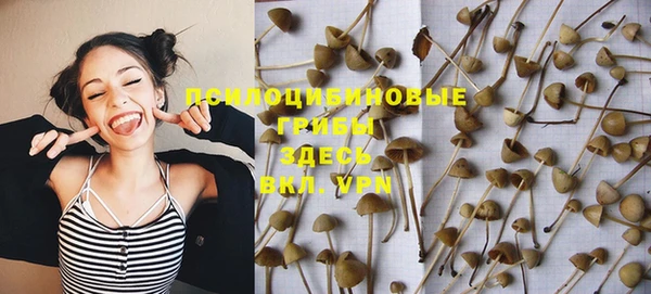 apvp Лабытнанги