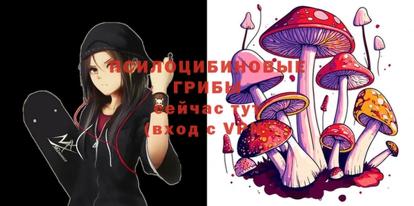 твердый Богородск