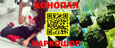 ешки Можга