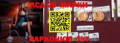 ешки Можга
