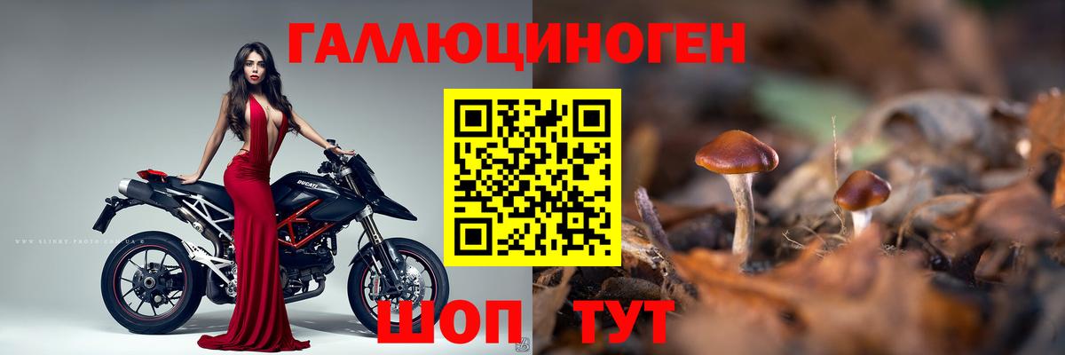 Галлюциногенные грибы прущие грибы Юрга
